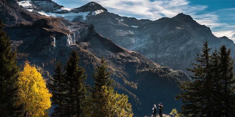 P4编程语言实战指南：掌握可编程数据平面核心技术与开发资源
