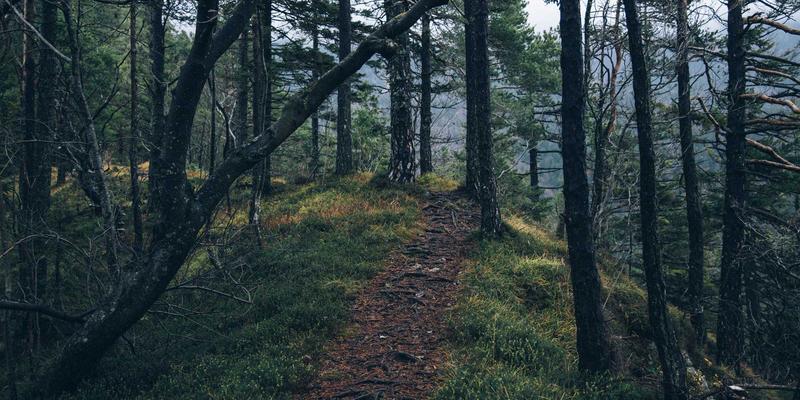 SD-WAN与SASE融合：构建下一代企业安全网络架构 | 网络技术资源分享