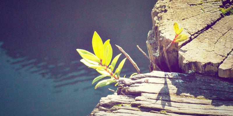 SD-WAN与多云战略融合实践：构建下一代企业广域网的挑战与资源分享