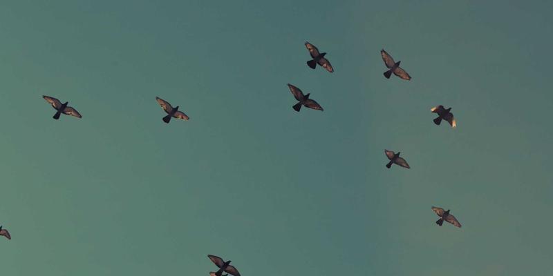 Wi-Fi 6/6E到Wi-Fi 7：关键技术演进与软件开发者的企业部署实战指南