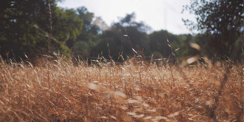 数据中心网络拥塞控制算法深度解析：从DCQCN原理到FYH XLXX编程实践与资源分享