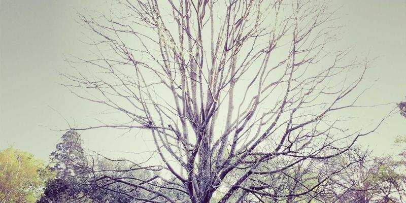 时间敏感网络(TSN)在工业互联网中的关键作用：赋能软件开发与智能制造