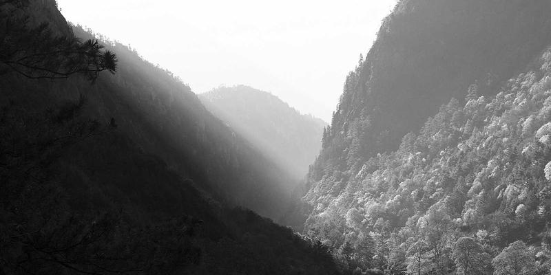 网络性能管理（NPM）与可观测性：基于AI的异常检测与根因分析实战指南