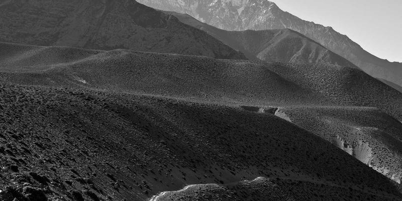 网络技术100:从资源分享到编程教程的进阶之路