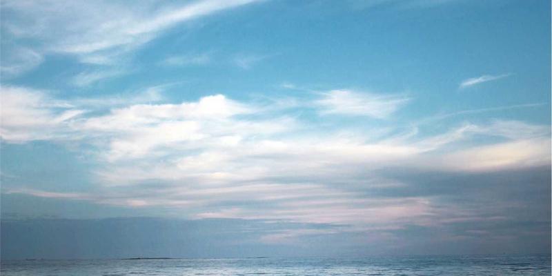 网络技术17：从编程教程到软件开发的实战进阶指南