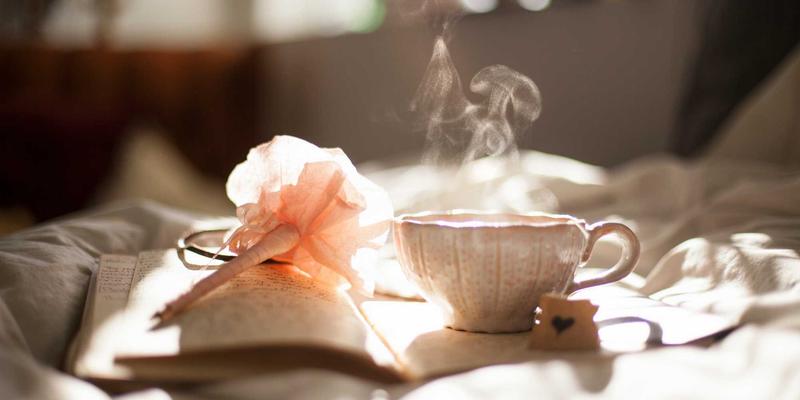 网络技术19：从编程教程到技术博客，构建你的数字知识体系