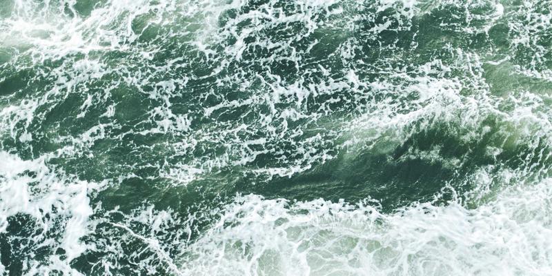 网络技术51：从资源分享到编程教程的全栈学习指南