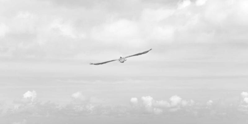 网络技术53：资源分享与FYH XLXX技术博客的深度探索