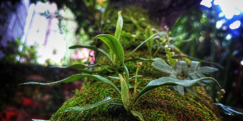 网络技术96:软件开发与资源共享的新范式