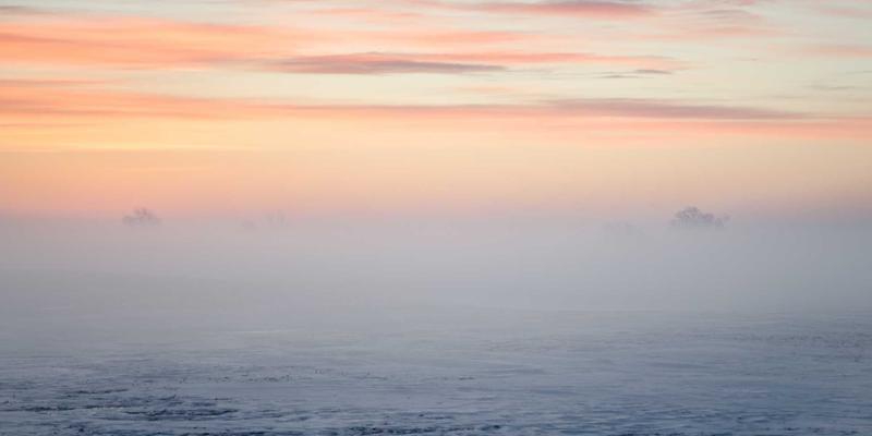 网络技术进阶指南：从FYH XLXX到资源整合与实战编程