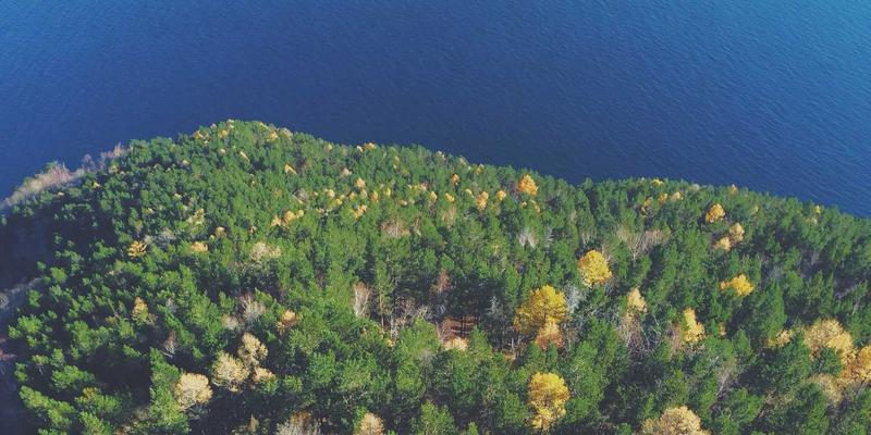 资源分享：时间敏感网络如何革新车载以太网，满足自动驾驶的严苛网络技术需求
