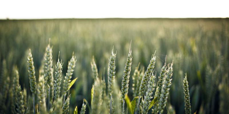 软件定义网络(SDN)如何重构数据中心架构：技术博客深度解析与资源分享