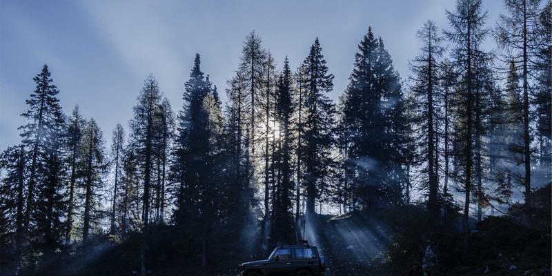 软件开发与网络技术核心对比：如何选择适合的编程学习路径