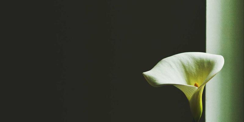 零信任网络架构(ZTNA)实施指南：赋能企业远程办公的安全革命